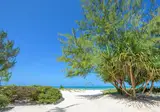 Hakuna Majiwe Zanzibar foto 1