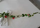 Hotel Astir Palace foto 13