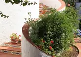 Villa Mediterranea foto 5
