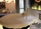Domus Grand Hotel foto 19