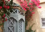 Riad Armelle foto 10