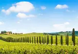 8-daagse rondreis Parels van Toscane foto 1