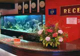 Havana Hotel Casino & SPA foto 24