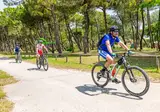 Camping Mare E Pineta foto 5
