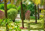 Silver Beach Hotel foto 27