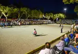 Le Millau Plage foto 20