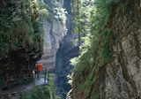 De Duitse Alpenroute foto 12