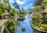Mooi Madeira foto 7