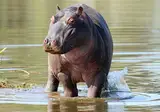 Pragtig Suid-Afrika foto 10