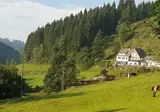 Landgasthof Nesselbach foto 16