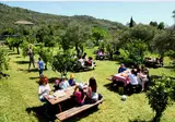 Glamping Alcantara foto 12