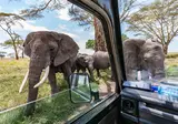 Ontdek Tanzania foto 9