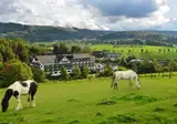 Sauerland Alpin Hotel foto 36