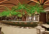 Moon Palace The Grand - Punta Cana foto 24