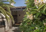 Finca San Diego foto 5