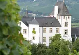 Victor's Residenz-Hotel Schloß Berg foto 1