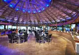 Divi Aruba Phoenix Beach Resort foto 13