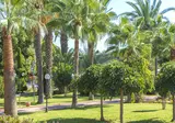 Lonicera World Hotel foto 27