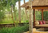 The Ubud Village Resort & Spa foto 13