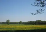 Landgoedhotel Woodbrooke foto 31