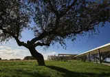 Herdade dos Delgados foto 2