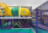 Holiday Inn Resort Kissimmee by the Parks foto 19