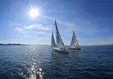 Vile Dalmacija foto 3
