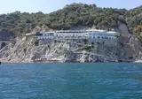 Cetus foto 2
