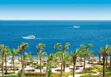 Grand Rotana Resort & Spa foto 11