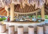 Dreams Royal Beach Punta Cana foto 26