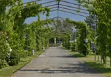 Knaus Campingpark Bad Dürkheim foto 8