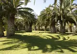 Ostuni a Mare foto 1