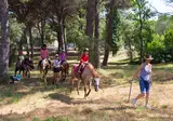 La Baume-la Palmeraie foto 18