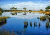 Kraaijenbergse Plassen foto 12