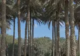Desert Islands Resort & Spa by Anantara foto 24