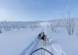 4 daagse excursiereis Lapland Hotel Ylläskaltio foto 4