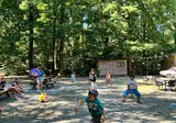 La Forêt foto 12