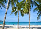 Four Points by Sheraton Phuket Patong Beach Resort foto 5