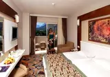 Viking Star Hotel foto 2
