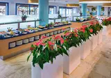 Tahiti Playa & Suites foto 26