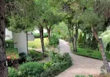 Hotel Villaggio Pineta Petto Bianco foto 18