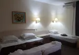 Detelina Hotel foto 18