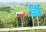 Cultuur en wijn in Piemonte, Mondovì foto 6