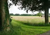 Buitenplaats in den Olden Bongerd foto 9