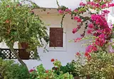 Amoopi Bay Hotel foto 14