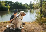 L Etang De Sologne foto 8