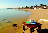Serry Beach Resort foto 27