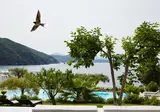 Lichnos Beach Hotel & Suites foto 24