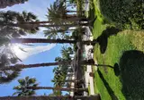 Hotel Alicante Golf foto 19