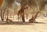 Rondreis Avontuurlijk Gambia & Senegal foto 4
